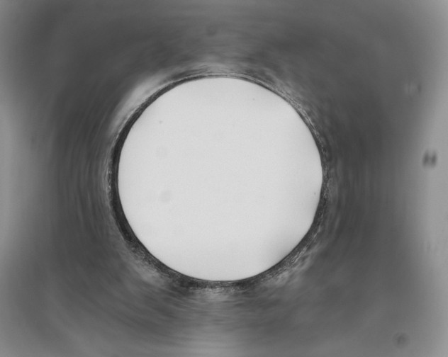 X0000096180103200802151450