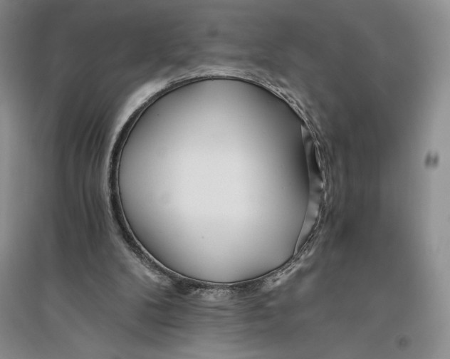 X0000096180104200802151450