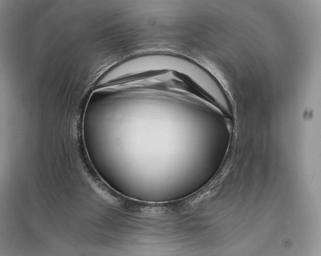 X0000096180105200802151450