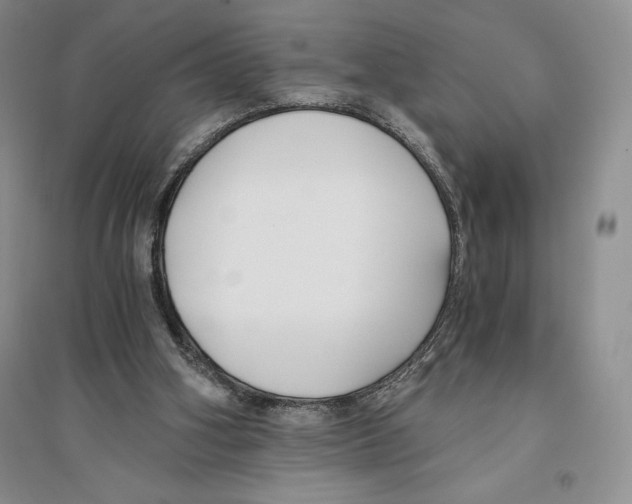 X0000096180106200802151450