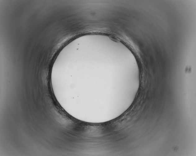 X0000096180107200802151450