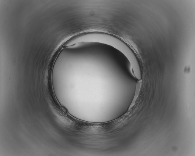 X0000096180108200802151450
