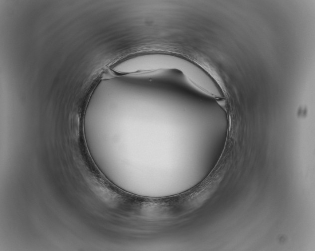 X0000096180109200802151450