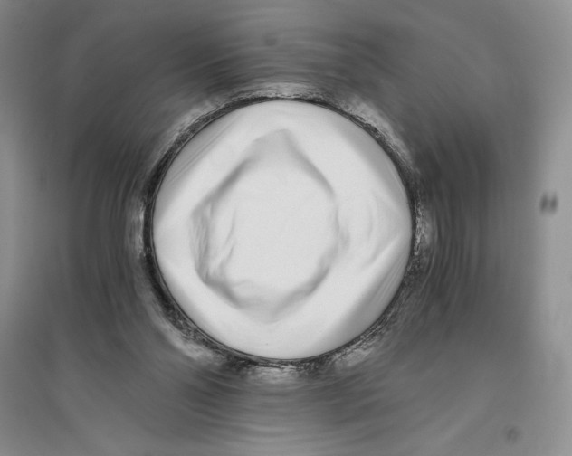 X0000096180110200802151450