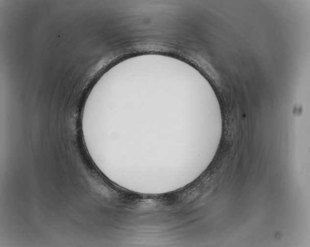 X0000096180111200802151450