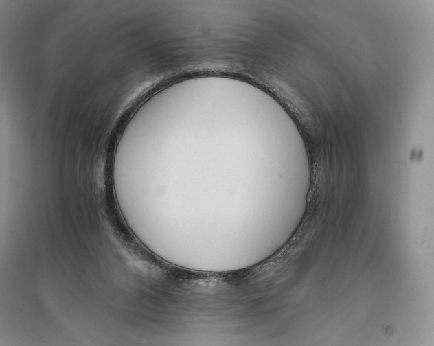 X0000096180112200802151450