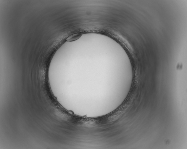 X0000096180113200802151450