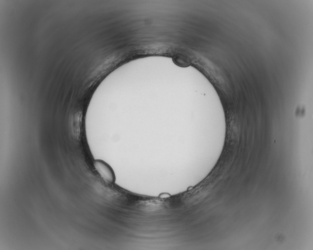 X0000096180118200802151450