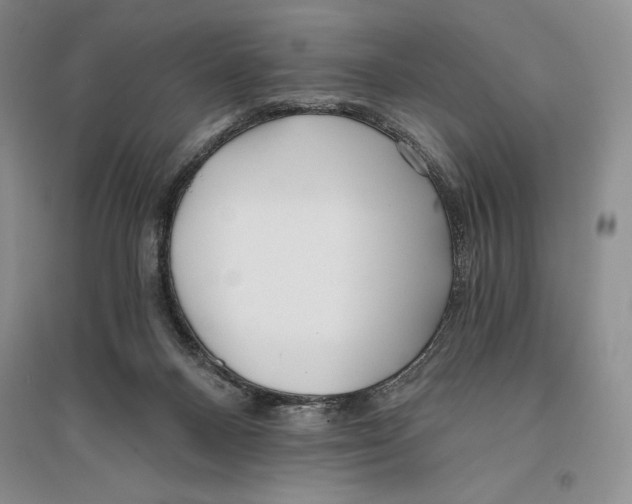 X0000096180120200802151450