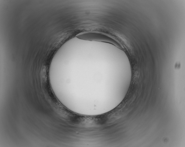 X0000096180121200802151450