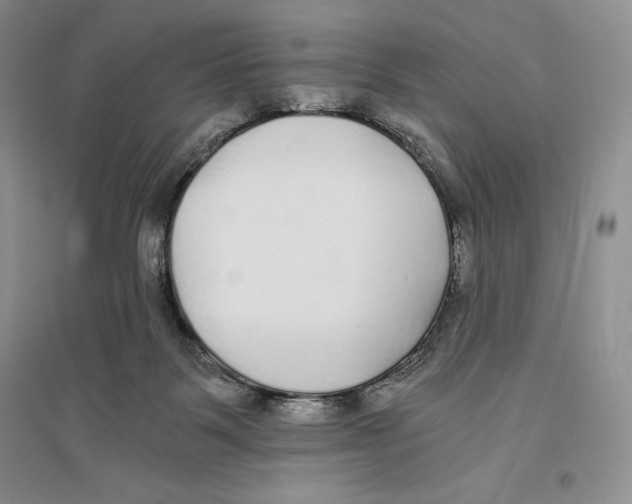 X0000096180123200802151450