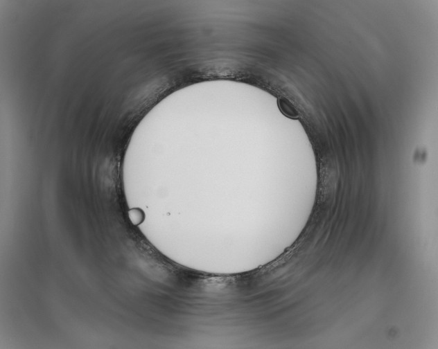 X0000096180126200802151450