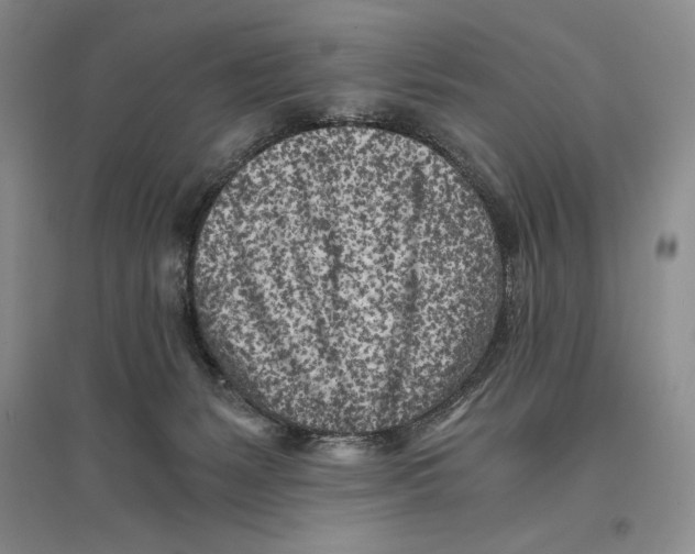 X0000096180127200802151450