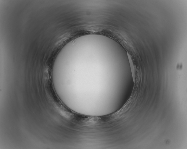 X0000096180128200802151450