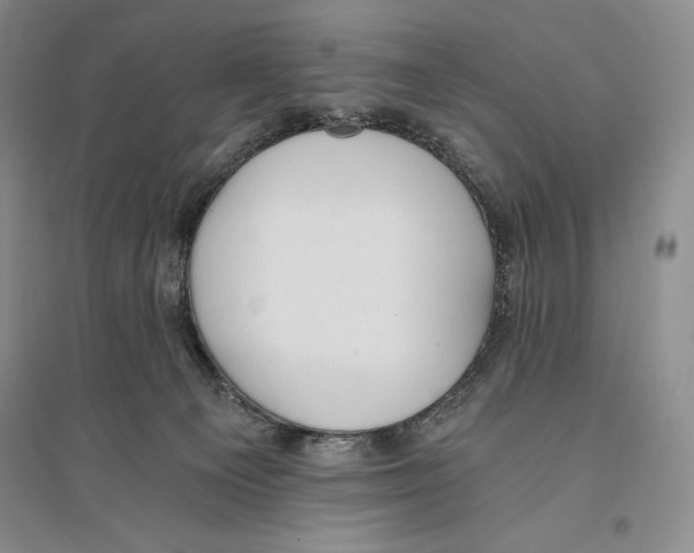 X0000096180129200802151450