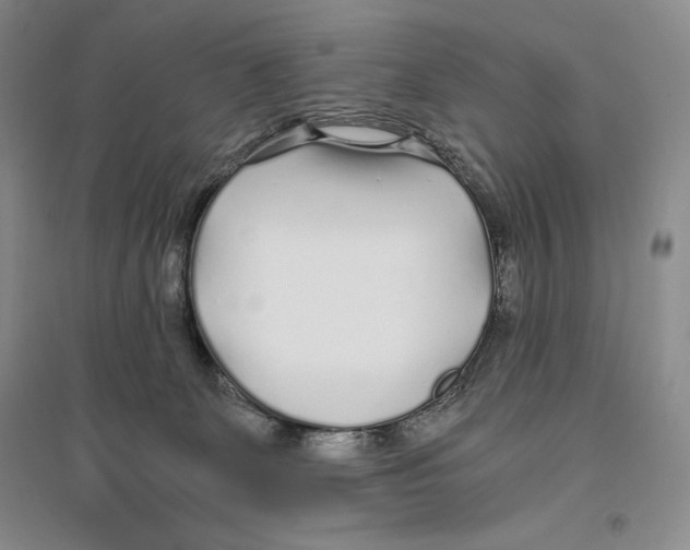 X0000096180131200802151450