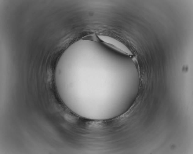X0000096180132200802151450