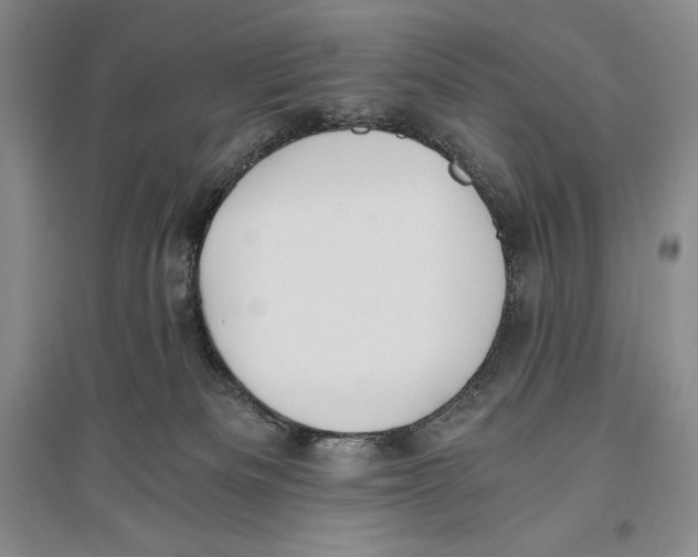 X0000096180133200802151450