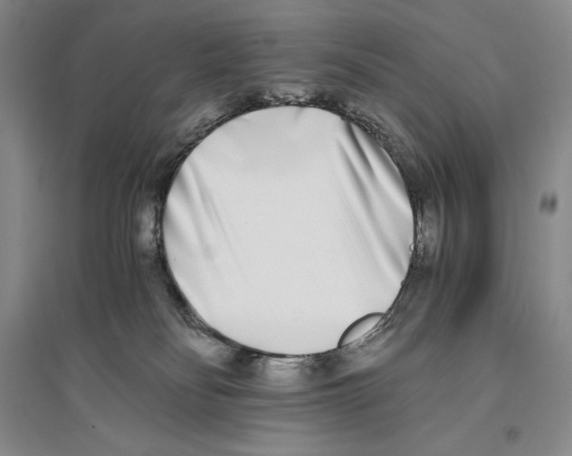 X0000096180134200802151450