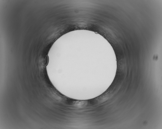 X0000096180135200802151450