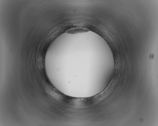 X0000096180136200802151450