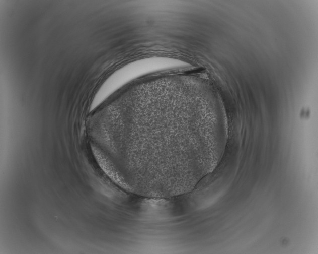 X0000096180137200802151450