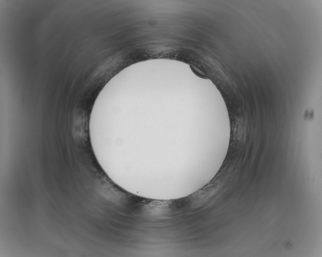 X0000096180138200802151450