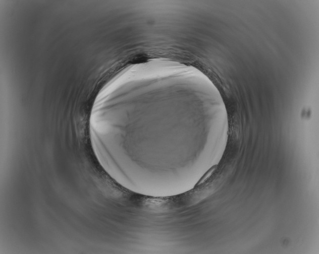 X0000096180139200802151450