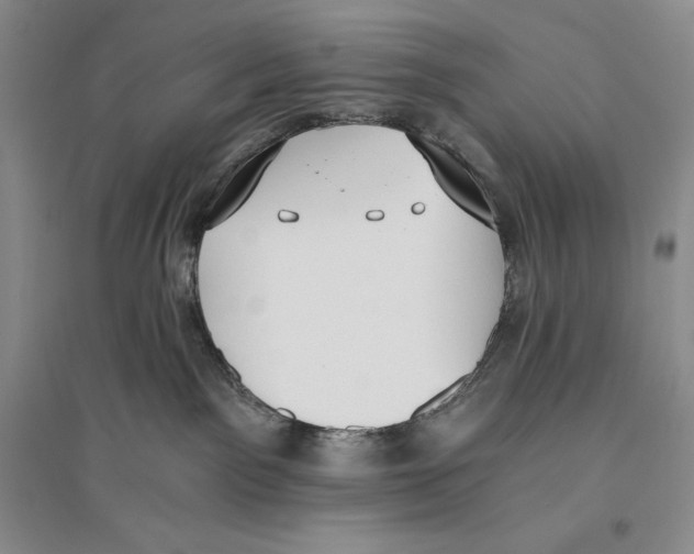 X0000096180141200802151449
