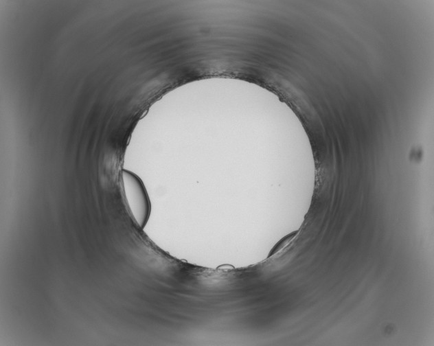 X0000096180142200802151449