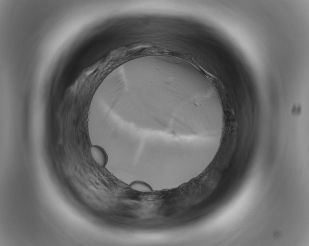 X0000096180143200802151449