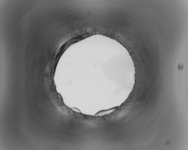 X0000096180144200802151449