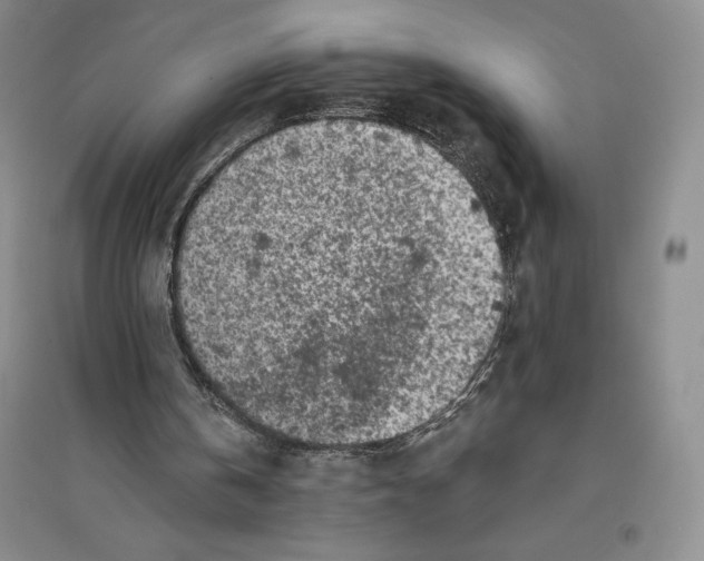 X0000096180146200802151449