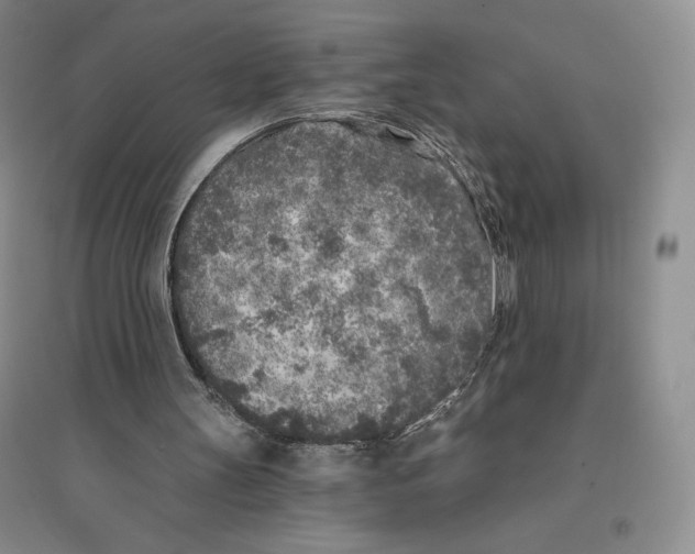 X0000096180147200802151449