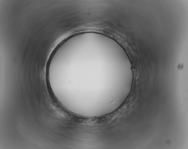 X0000096180148200802151449