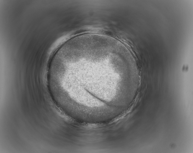 X0000096180149200802151449