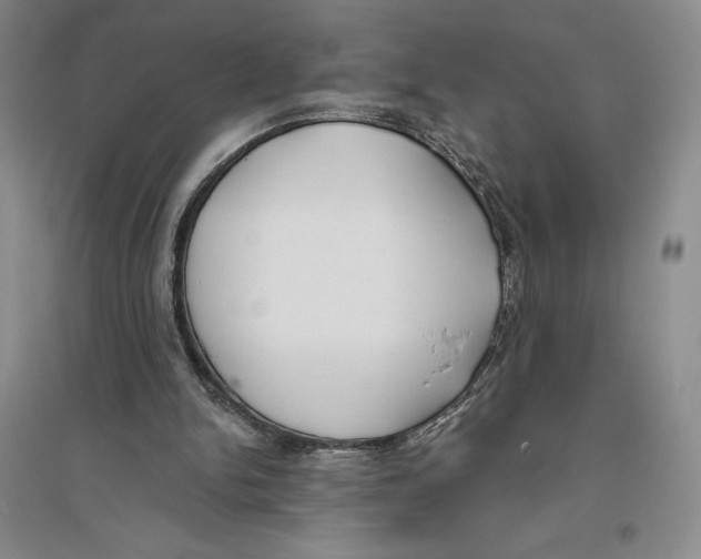X0000096180150200802151449