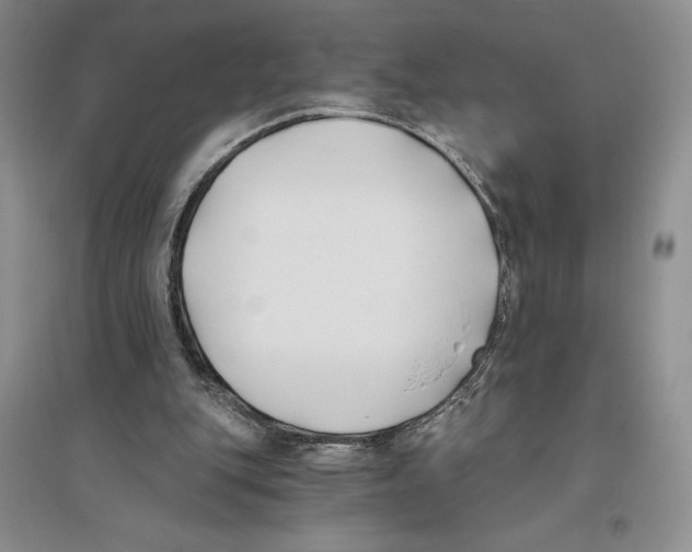 X0000096180151200802151449
