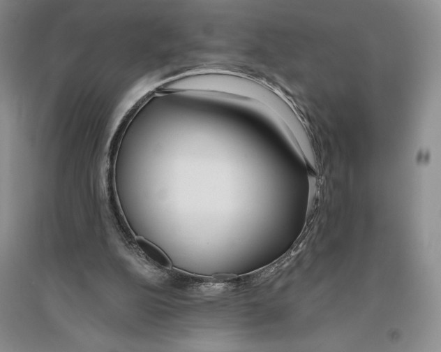 X0000096180152200802151449