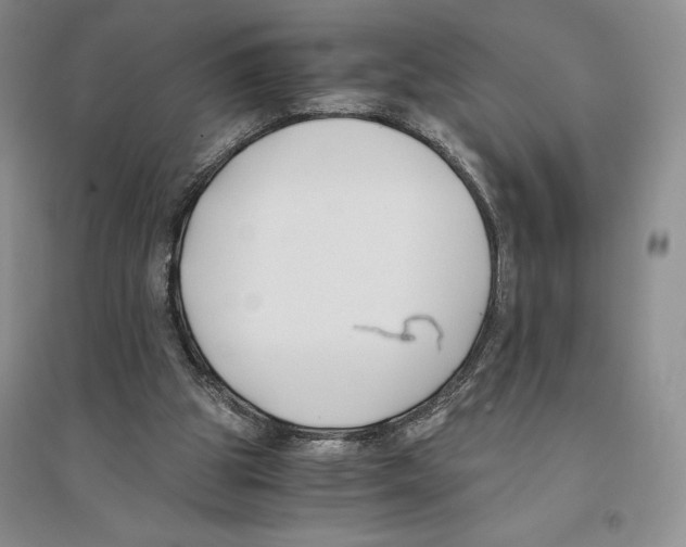 X0000096180153200802151449