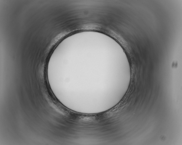 X0000096180155200802151449