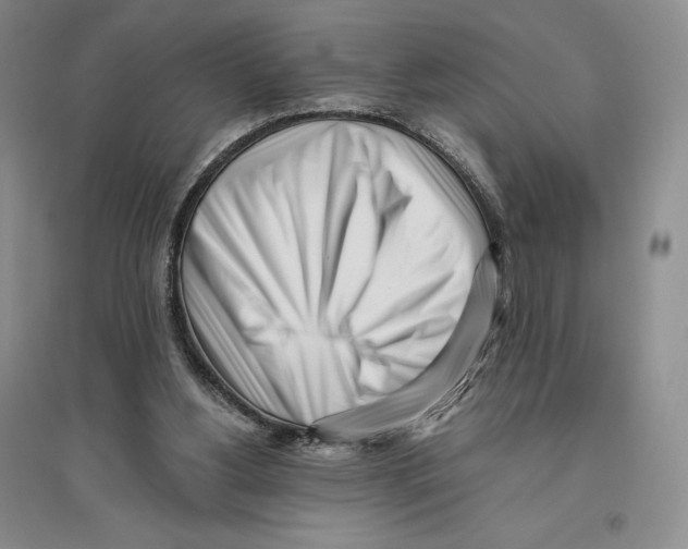 X0000096180156200802151449