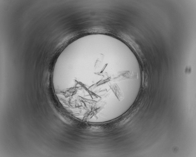 X0000096180157200802151449