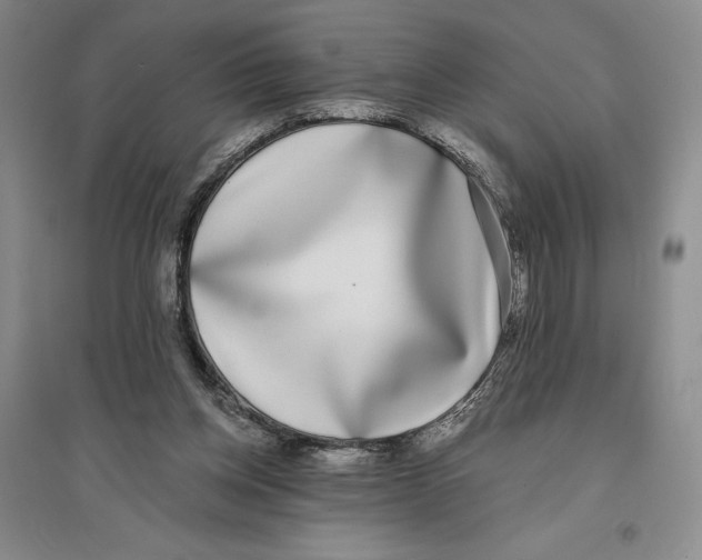 X0000096180158200802151449