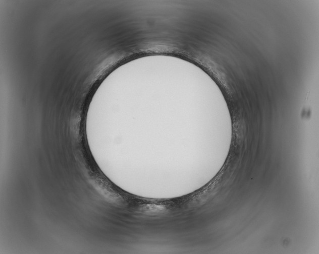 X0000096180159200802151449