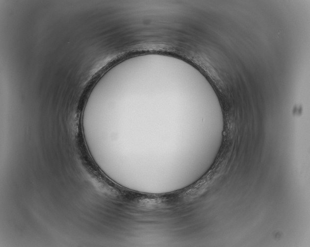 X0000096180160200802151449