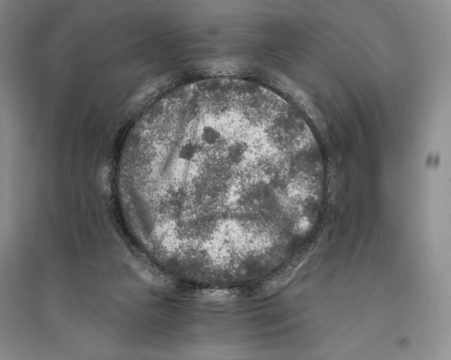 X0000096180161200802151449