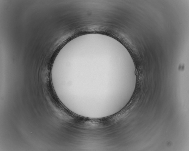 X0000096180164200802151449