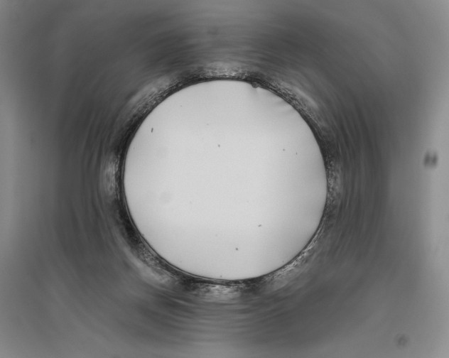 X0000096180166200802151449