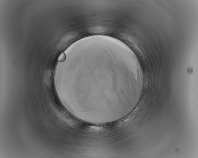 X0000096180167200802151449